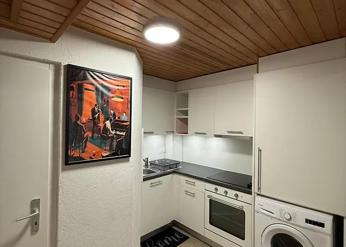 Cosy Avec Wi-fi Et Cuisine Equipee Apartment *